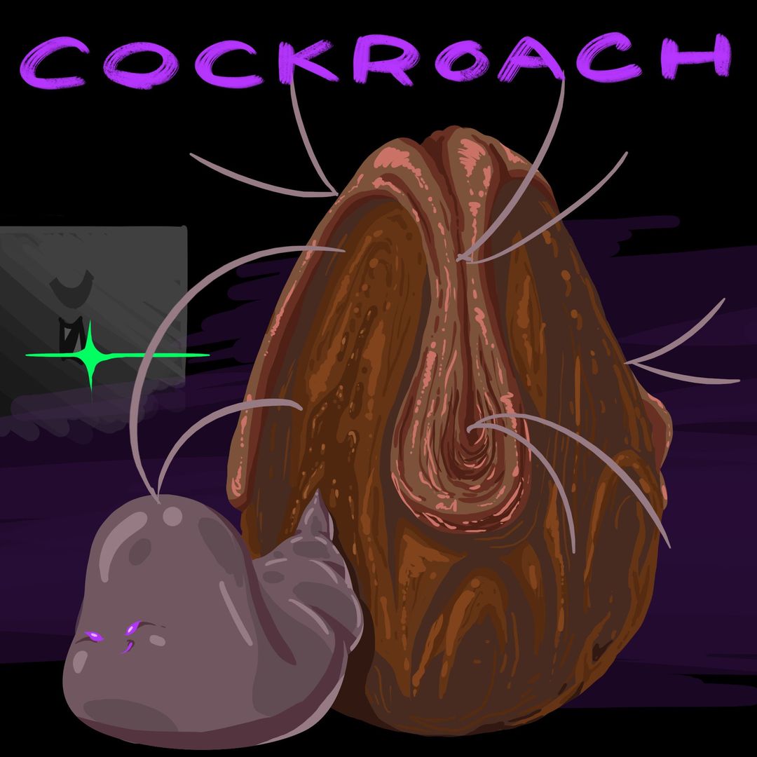 cockroach eggs